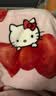 野兽派家居（tbh）三丽鸥Hello Kitty法兰绒盖毯双面绒感沙发空调毯午睡毯亲肤绒毯 实拍图