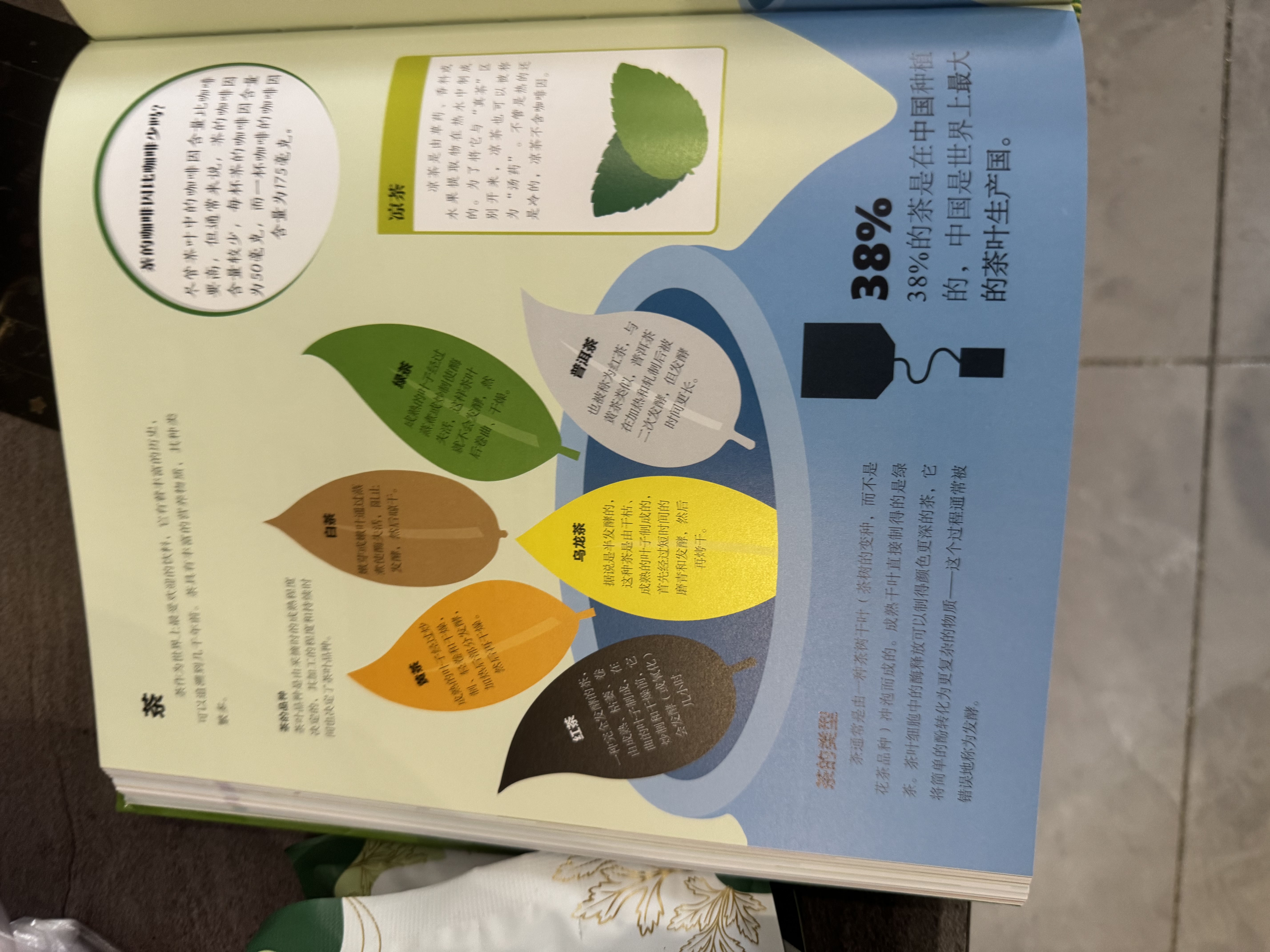 DK人类食物百科（全彩） 实拍图