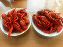 必品阁双拼紫菜包饭卷920g 泡菜烤肉*2+石锅拌饭*2 早餐饭团 实拍图