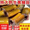 微山湖生态黄鳝鲜活现杀鳝段淡水长鱼肉特大鳝筒炖汤老人补钙净重 鳝鱼段（半斤） 实拍图