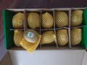 佳沛（zespri）绿奇异果10个装 宝宝果单果约80-89g 水果猕猴桃包邮 实拍图