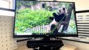 飞利浦（PHILIPS）SPA2100蓝牙音箱 电脑音响 游戏电竞 家用桌面台式笔记本 有线便携小音箱 实拍图