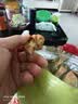 陈昌银麻花蜂蜜味400g重庆陈麻花重庆特产老字号磁器口陈麻花中式糕点心 实拍图