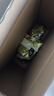五谷道場非油炸方便面 骨汤蔬菜番茄牛腩面四连包112gx4袋 免煮早餐泡面 实拍图