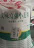 驼宝【复合营养粉】驼宝益生菌骆驼粉无蔗糖中老年儿童青少年成人驼粉 富硒驼乳营养粉2罐*1000g【超划算】 实拍图