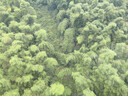 九千谷塑料凳子家用加厚可叠放风车圆凳现代简约客厅餐桌塑胶椅子4239 实拍图