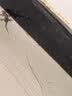拜杰啤酒杯玻璃杯精酿杯子大容量扎啤杯酒杯水杯果汁杯2只装 实拍图