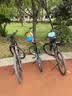 大行（DAHON）经典D6折叠自行车20英寸6速成人休闲单车 KBC061 墨绿色 20英寸 实拍图