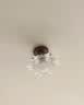 美式复古过道灯吸顶灯胡桃木法式中古风入户玄关阳台走廊木质灯具 【中古风过道灯】海棠款25CM-三色变光 实拍图