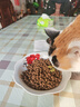 最宠（Paddy Time）猫零食猫条三文鱼10g*50支 0胶0淀宠物成幼猫咪湿粮食品补水增肥 实拍图