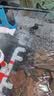 派乐特 鱼缸过滤材料水族火山石陶瓷环细菌球器材用品十二合一滤材1kg 实拍图