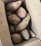 春福乐沙地红薯【当天现挖】贵阳板栗红薯西瓜红现挖现发新鲜地瓜整箱 5斤严选果【软糯香甜】净重4.5斤 实拍图