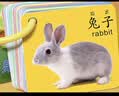 小象跳舞宝宝认知卡片早教训练0-3岁识字动物水果看图识物婴儿童卡片玩具 实拍图