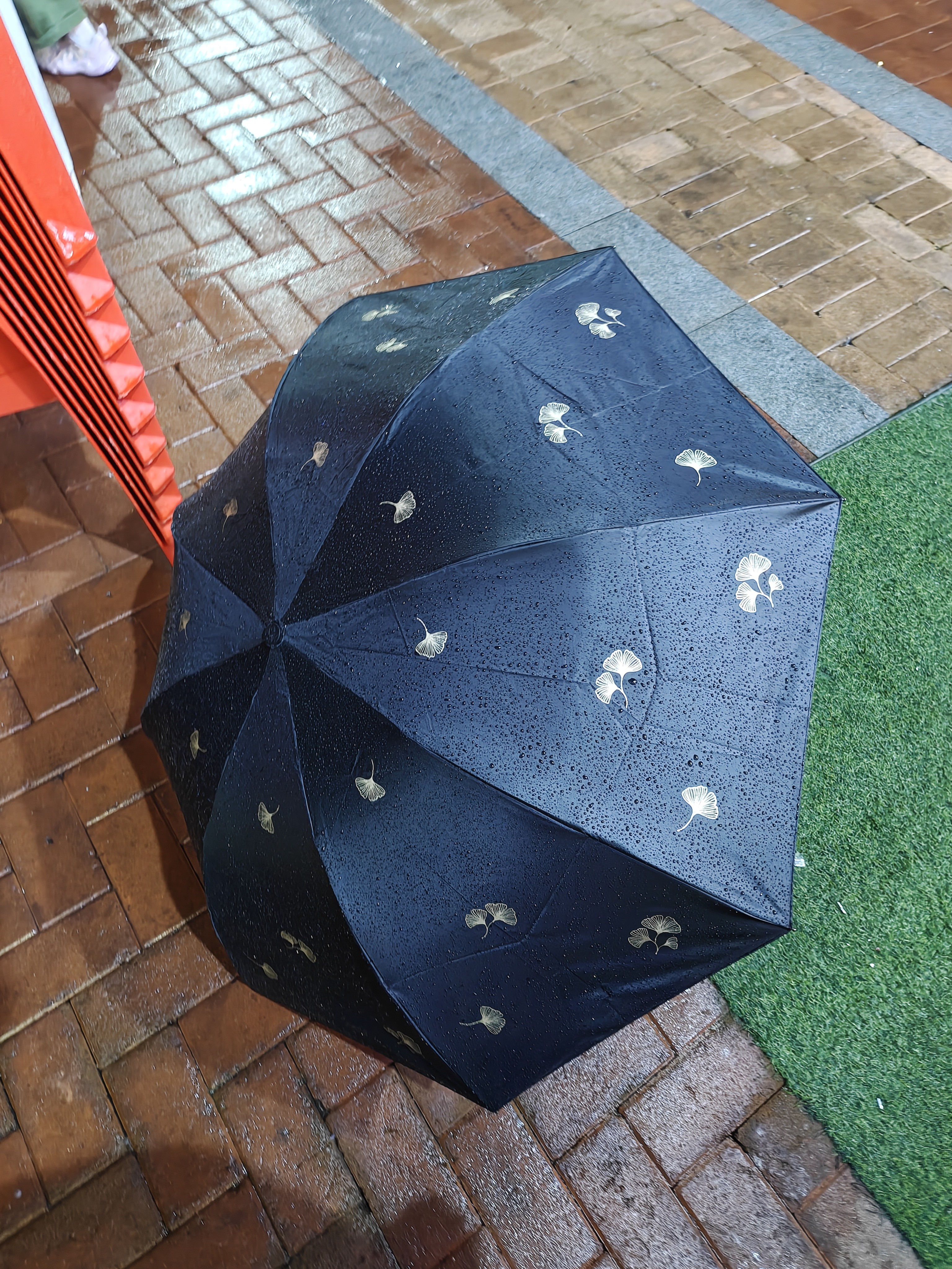 天堂伞伞太阳伞防晒防紫外线遮阳伞户外伞晴雨两用便携雨伞男女 银杏叶-黑色 实拍图