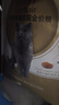 皇家猫粮 英短成猫粮 BS34 通用粮 12月以上 2KG 实拍图