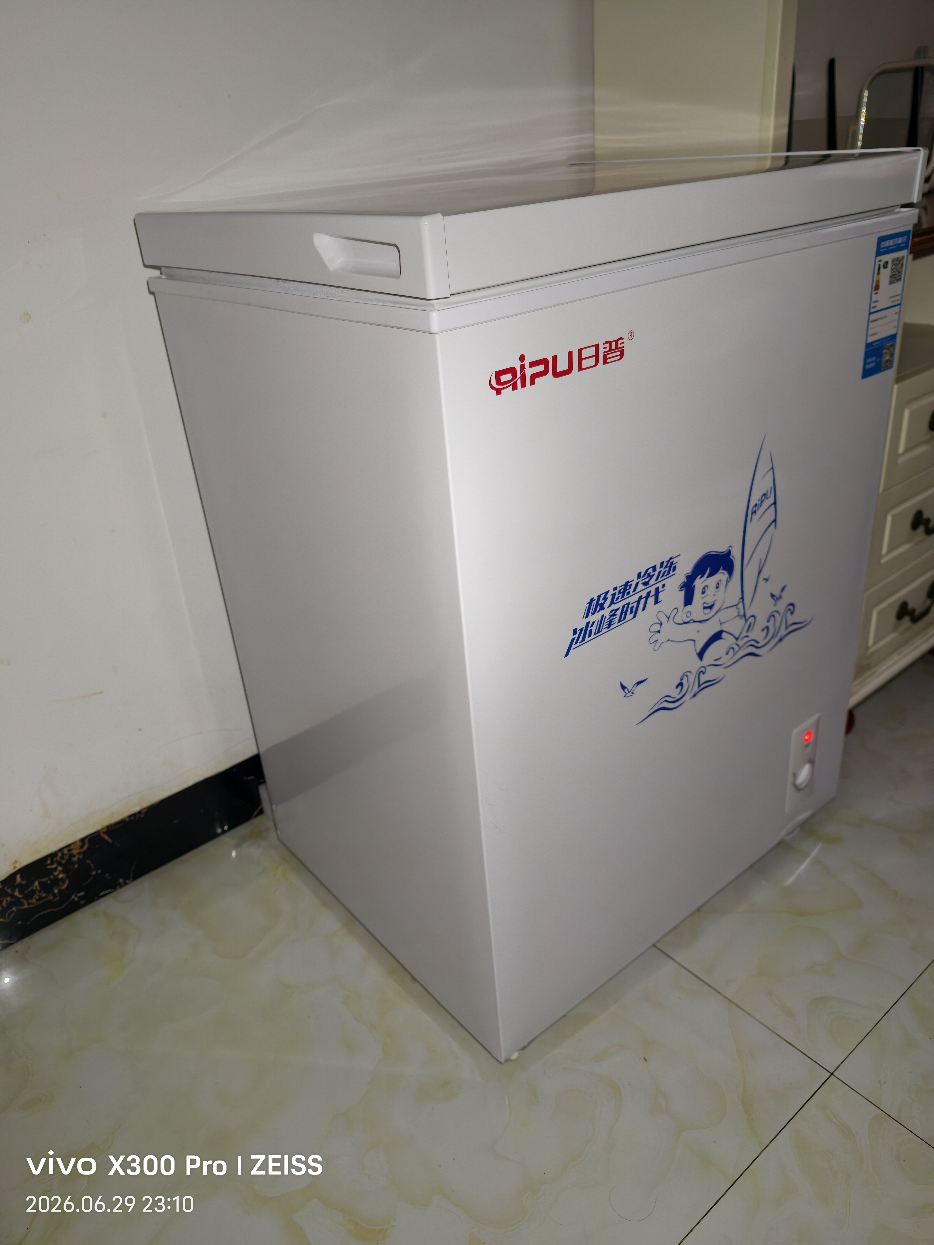 日普（RIPU）小冰柜家用小型一级能效 冷藏柜冷冻柜两用冰柜小型租房家用小冰箱小型冷柜 205升 【一级能效 升级减霜85%】 实拍图