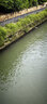 京东京造 8倍吸水替换棉头*2个 免手洗仅适配京造对折海绵胶棉拖把33cm 实拍图