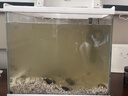 疯狂水草净水王700ml鱼缸净水剂水质澄清剂净化剂一滴清水质清澈剂清洁剂 实拍图