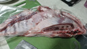 鲜京采内蒙古羔羊整排 净重3斤 生鲜速冻羊肉 羊排烧烤清炖食材 实拍图