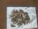 京东京造原味大瓜子418g 八分熟 葵花籽毛嗑干净配方炒货零食 当季新货 实拍图