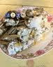 【活蟹】漁家师傅六月黄2.3-2.6两8只大闸蟹去绳足重鲜活螃蟹现货生鲜礼盒 源头直发 实拍图