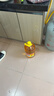 鲁花 食用油 物理压榨 葵花仁油6.18L  实拍图