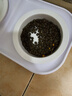 愛肯拿（ACANA）猫粮 海洋盛宴成猫幼猫粮 全价美毛无谷进口鱼肉粮5.4kg效期27/5 实拍图
