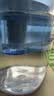 碧然德（BRITA）家用净水壶 滤水壶滤芯 MAXTRA+LE 去水垢专家滤芯 1枚装 实拍图