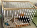 贝初众狗围栏宠物围栏室内狗狗宠物栅栏家用狗笼子小中大型犬猫围栏折叠 95*50*70cm【5片+1门-适合中小型犬】 自由拼接围栏 加厚加高 实拍图