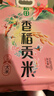 十月稻田 香稻贡米 东北大米 10斤（香米 粳米 5kg/公斤） 实拍图