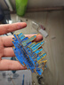 缔羽 国风蝴蝶冰箱贴景泰蓝掐丝珐琅diy手工制作材料纪念品伴手礼礼物 实拍图