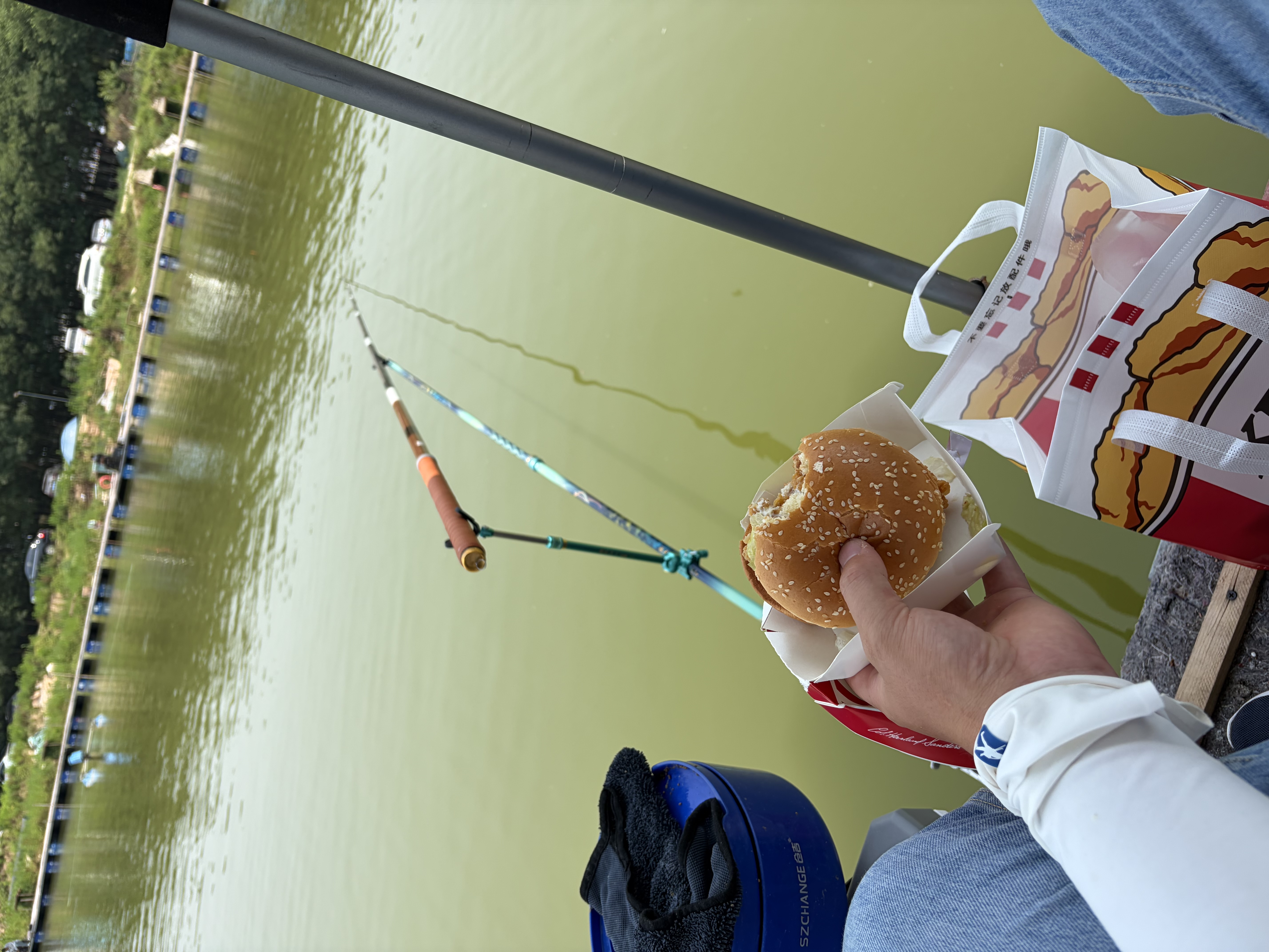 达亿瓦（DAIWA）一击 轻量鲤鱼鲫鱼草鱼罗非 进口鱼竿手杆 轻硬挺 休闲台钓 7.5m 一击T 75.K（大物）【腰力调性，一遡相承】 不支持使用/试用后退换货 实拍图