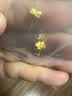 谢瑞麟（TSL）黄金耳钉磨砂朱槿花朵足金耳饰YM352 约0.75g生日 实拍图