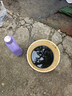 爱德王子壳牌踏板摩托车机油润滑油5w-40 SN级1L 全合成踏板车油 京东养车 实拍图