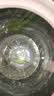【京东物流】水杯冰霸吸管杯高颜值学生茶水分离大容量杯子 肚肚杯1个-浅绿色 实拍图