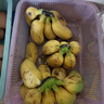 京喜加正宗苹果蕉广西香蕉自然熟新鲜水果奶蕉粉蕉小米芭蕉鹏贸 净重3斤酸甜小米蕉 实拍图