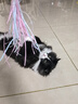 尾巴生活主食猫条全价鲜骨肉 12g*8条 猫咪零食营养多口味混合装成猫幼猫 实拍图
