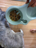 麦富迪猫粮 超肉粒冻干双拼幼猫粮免疫护肠胃 三文鱼2kg 实拍图