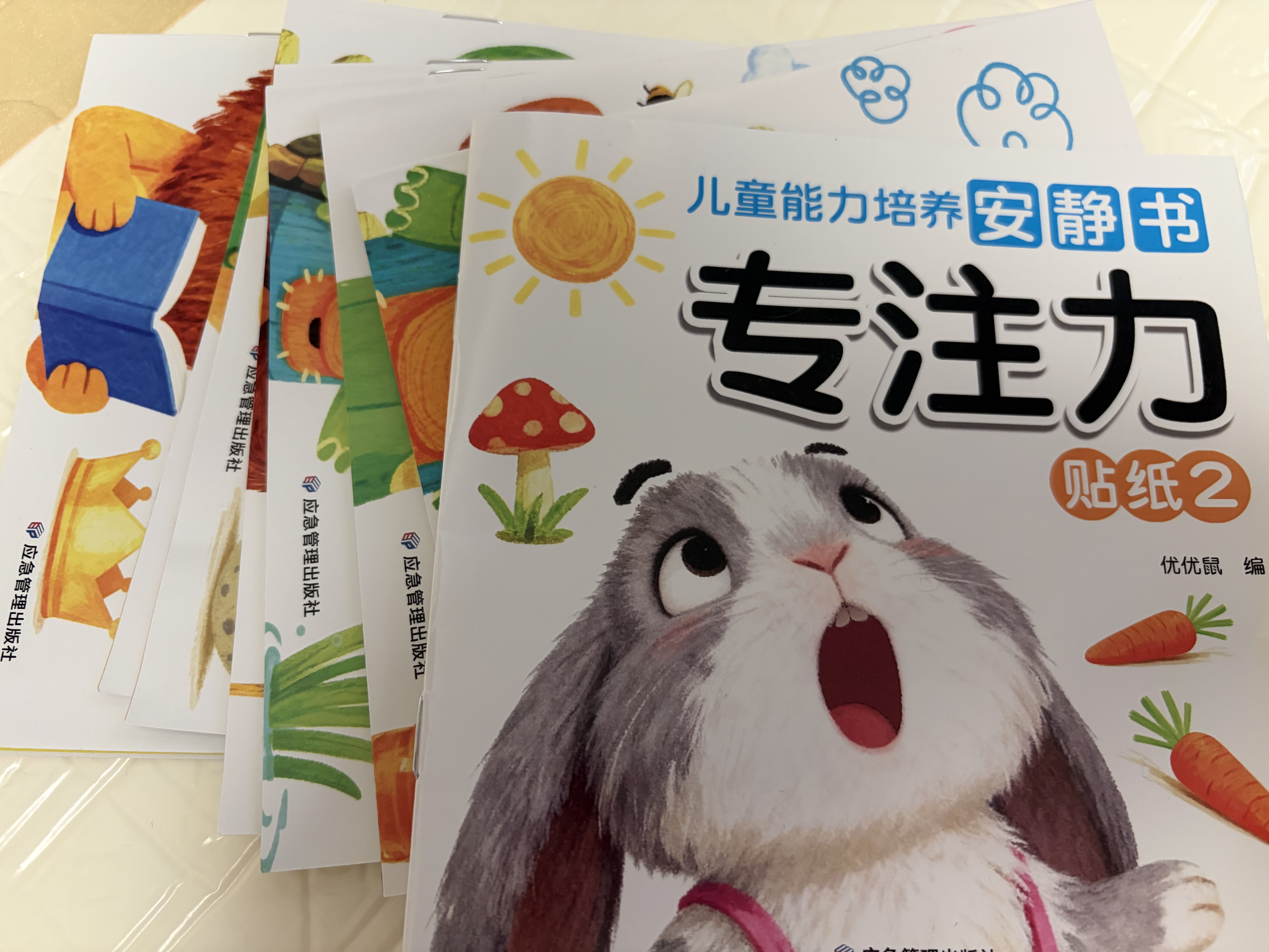 儿童能力培养安静书全20册 2-6岁专注力训练全脑启蒙益智贴纸书 4大主题儿童智力潜能开发动手动脑 儿童左右脑全脑开发游戏贴纸书 实拍图