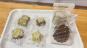 东之天地手工皂皂基材料diy白色soap自制母乳精油皂天然植物原料厨房工具 【12连花朵款】手工皂模具 实拍图