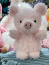 Jellycat小猪可爱公仔动物毛绒玩偶小玩偶娃娃送礼生日礼物 粉红色 Little 实拍图