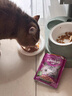 伟嘉主食猫罐头软包 猫主食餐包湿粮 进口成猫妙鲜包85g*12鸡肉味 实拍图