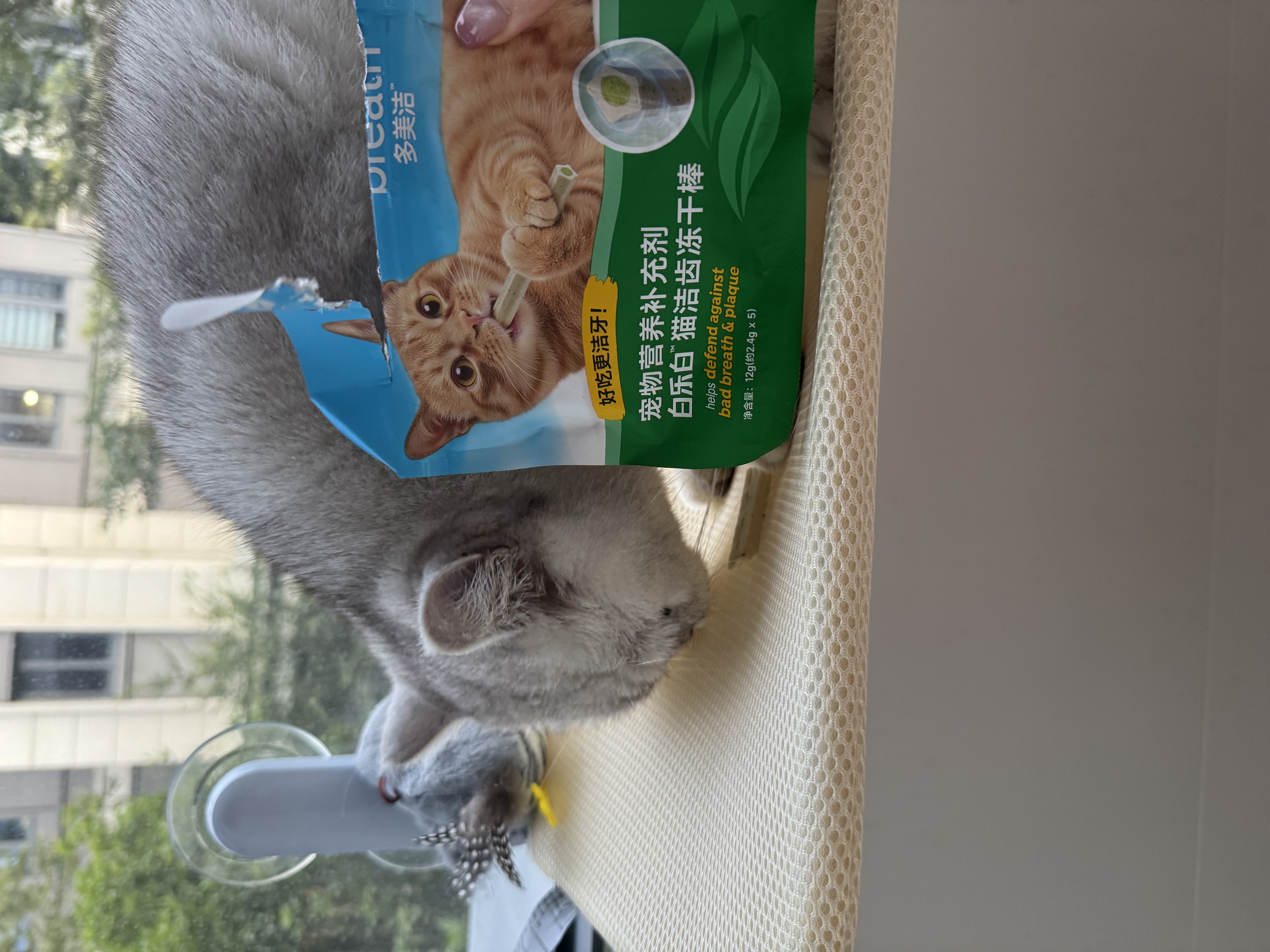 多美洁Fresh Breath猫白乐白洁齿冻干棒12g磨牙清洁口腔零食 实拍图