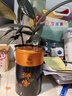 狮峰牌2026年新茶绿茶龙井茶叶明前特级100g老茶树罐装送礼自己喝 实拍图