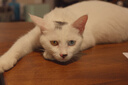 松下S9（20-60mm F3.5-5.6）（Panasonic）全画幅微单 实时Lut 滤镜直出 连接app极速分享 灰银 实拍图