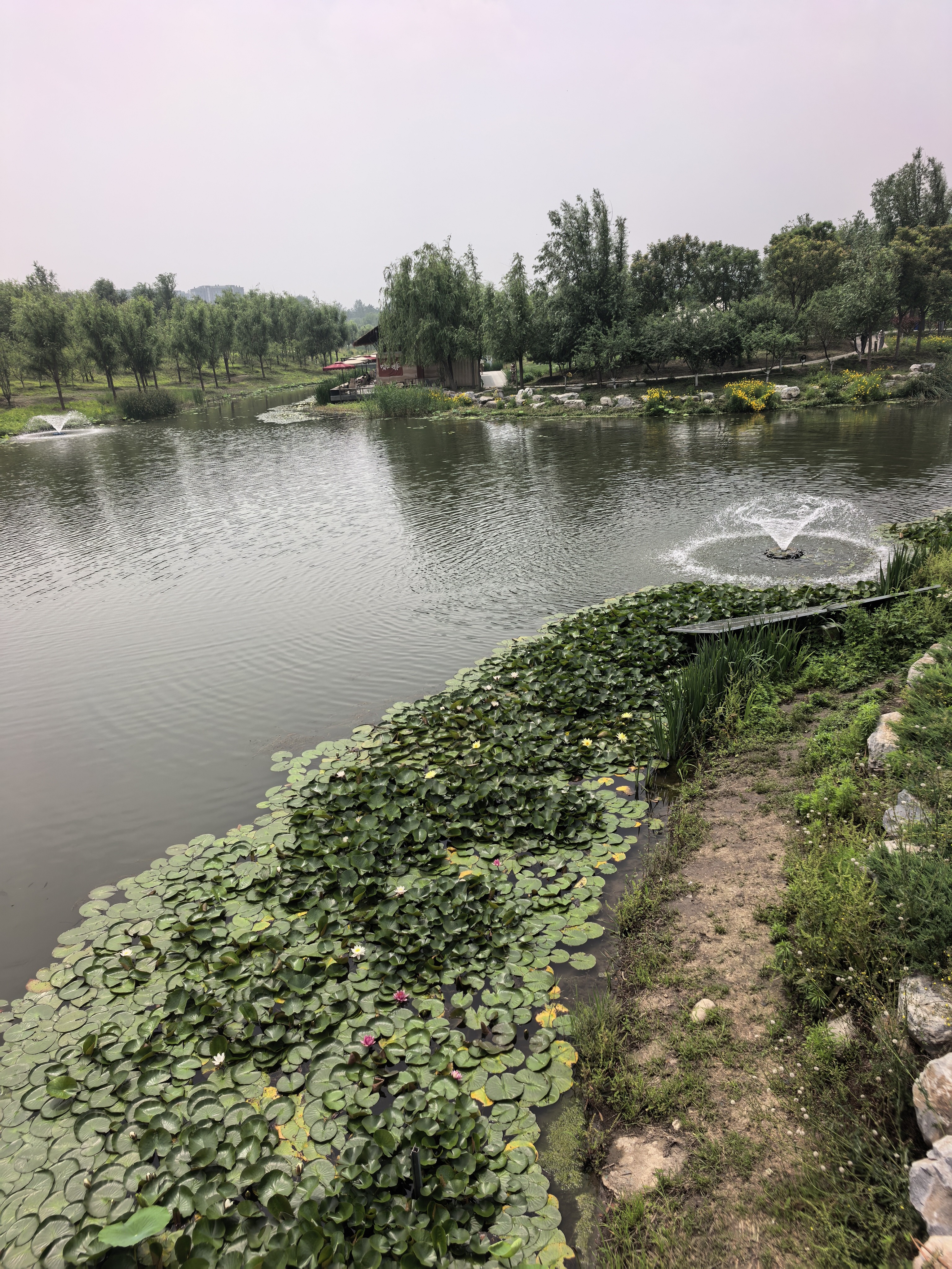 计时工 油污净400g*3瓶 厨房重油污强力去油污清洁剂 油烟机 实拍图