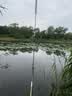 达亿瓦（DAIWA）一击 轻量鲤鱼鲫鱼草鱼罗非 进口鱼竿手杆 轻硬挺 休闲台钓 5.4m 一击T 54.K（大物） 不支持使用/试用后退换货 实拍图