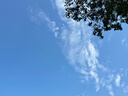 Sweet Color指甲油水性2026新款免烤快干速干无毒甲油胶显白酒红色健康礼物 实拍图