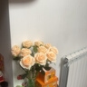 生喜朗仿真玫瑰花情人节礼物花束送女友客厅餐桌装饰摆件干花假花仿真花 实拍图