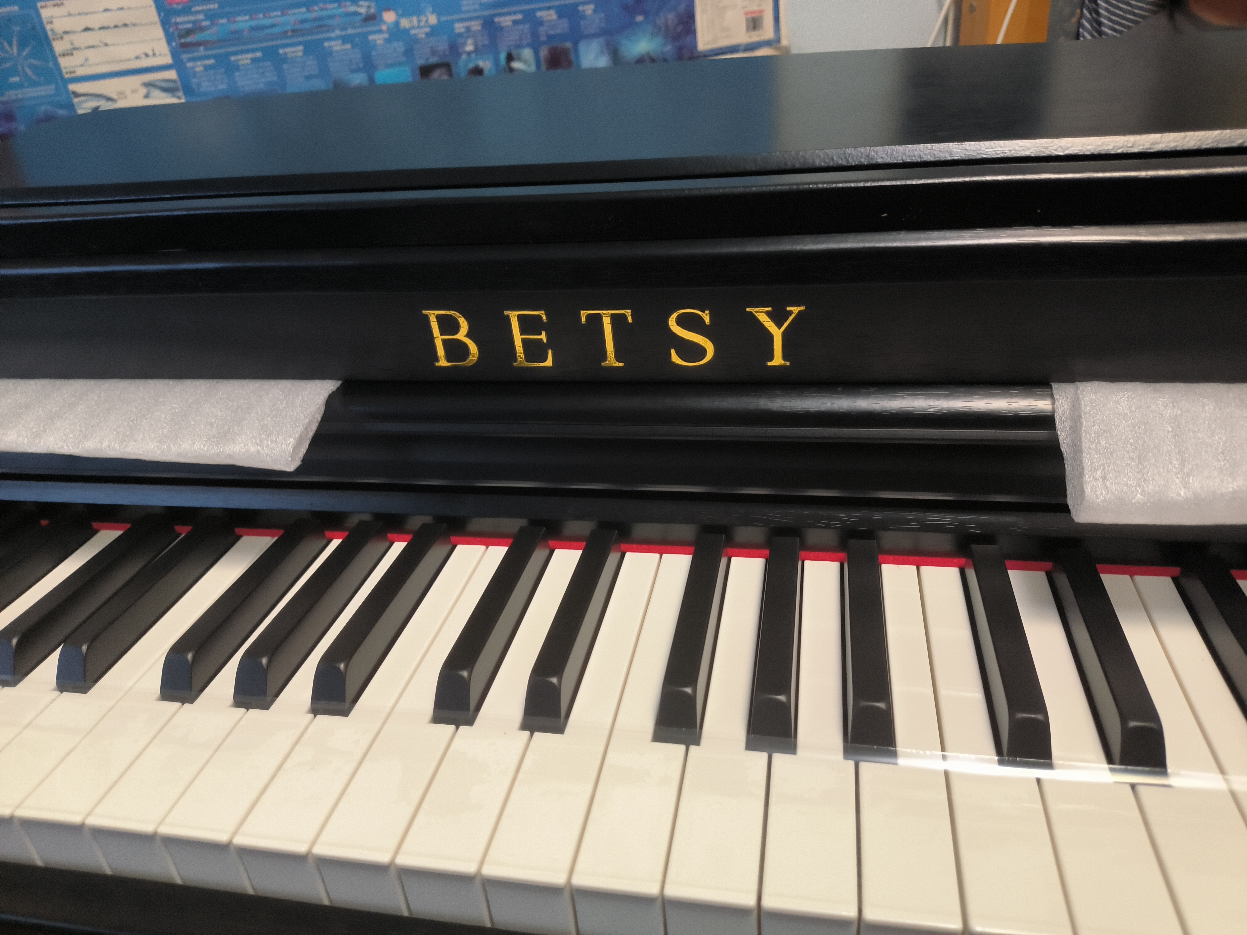 贝琪（Betsy）B321立式电钢琴重锤88键实木琴键成人专业初学者电子钢琴家用 专业级-B321木纹黑 实拍图